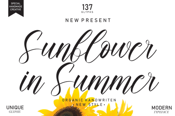 Sunflower in Summer